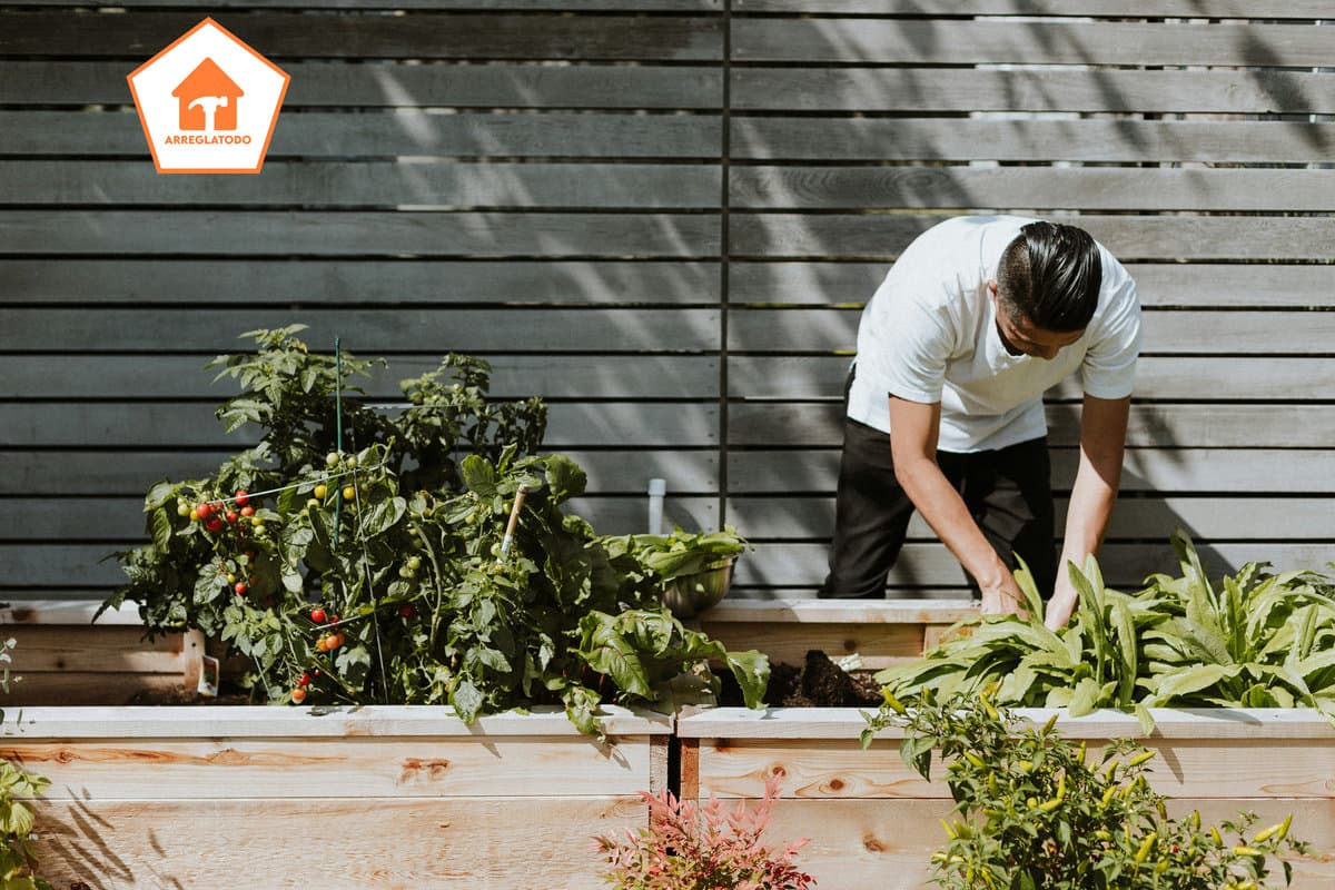 Consejos para Seleccionar el Jardinero Perfecto