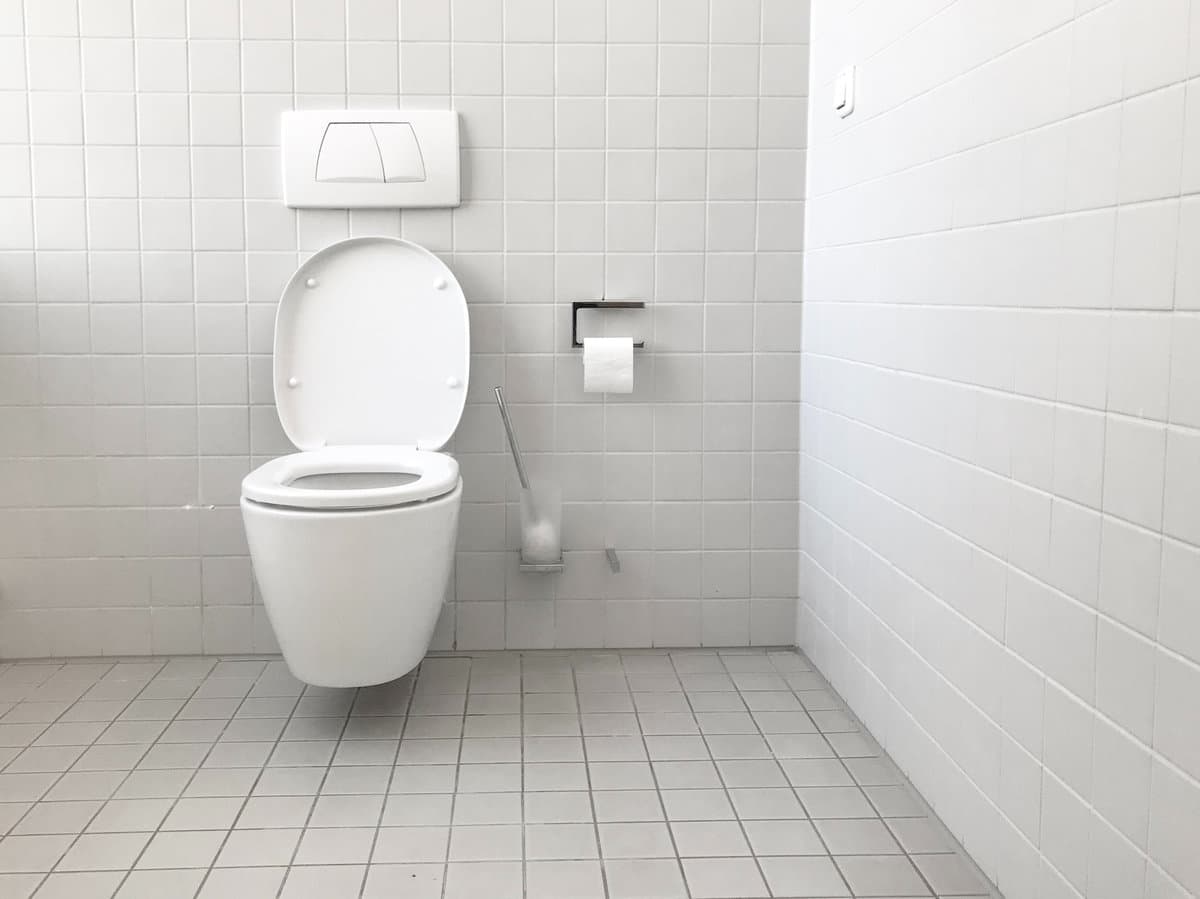 Inodoro del baño